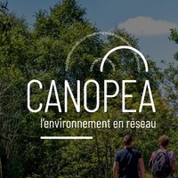  Canopea